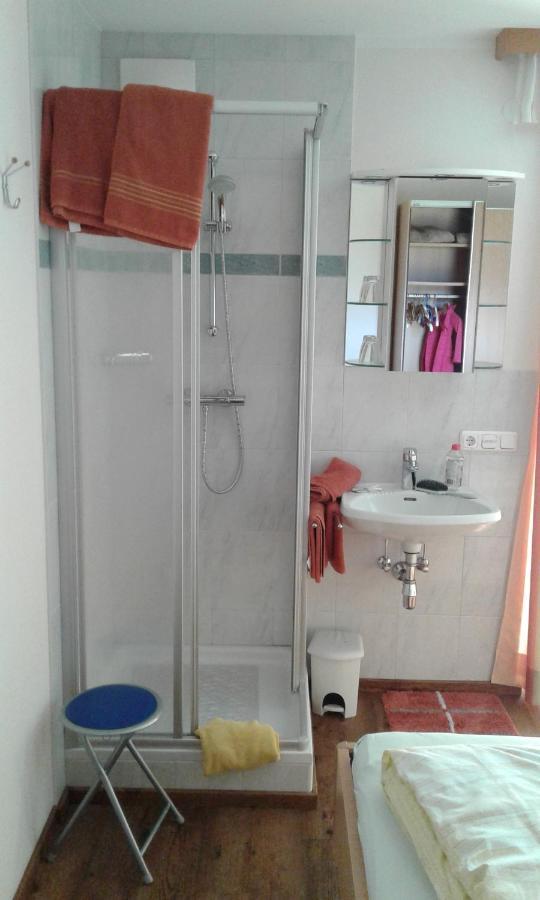 Appartment Steger Klara Mittersill Ngoại thất bức ảnh